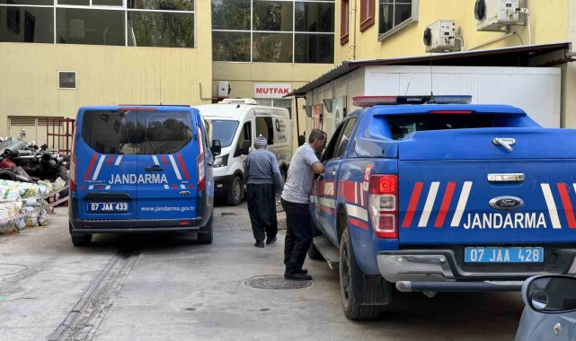 Bahçe temizliği için yaktığı ateşe düşerek hayatını kaybetti