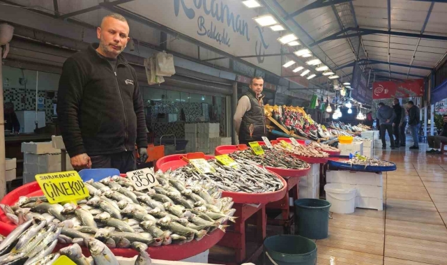 Balık tezgahlarında palamut yerini hamsi, istavrit ve çinekopa bırakıyor