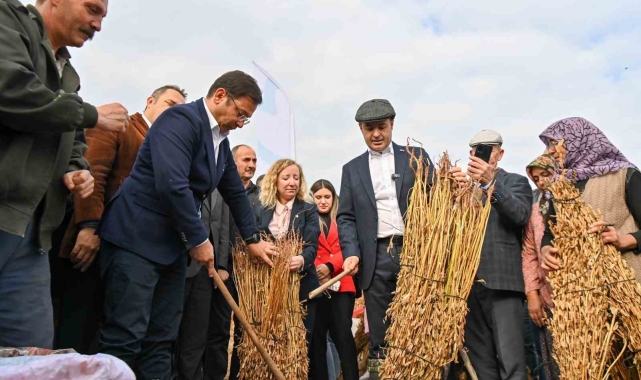 Balıkesirli susam üreticilerine büyük destek