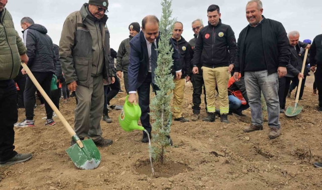 Bandırma'da yanan alanda 750 çam fidanı toprakla buluştu