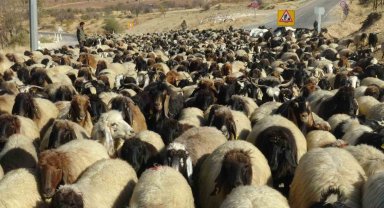 Batman'da göçerlerin zorlu dönüş yolculuğu