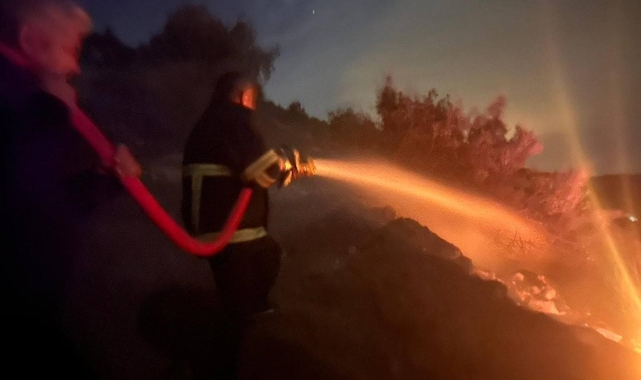 Belen'de orman yangını