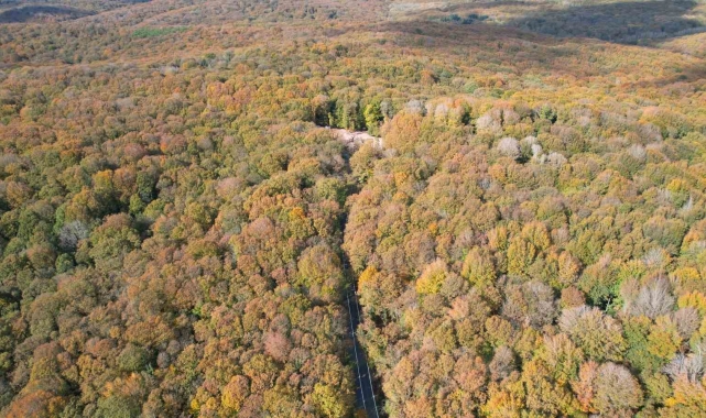 Belgrad Ormanı sonbahar renklerine büründü