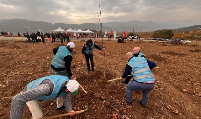 Bilecik'te mahkumlar fidan dikimine katıldı