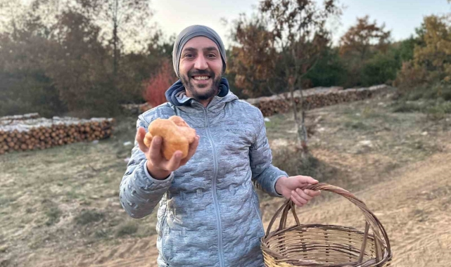 Bilecik'te mantar sezonu geç açıldı
