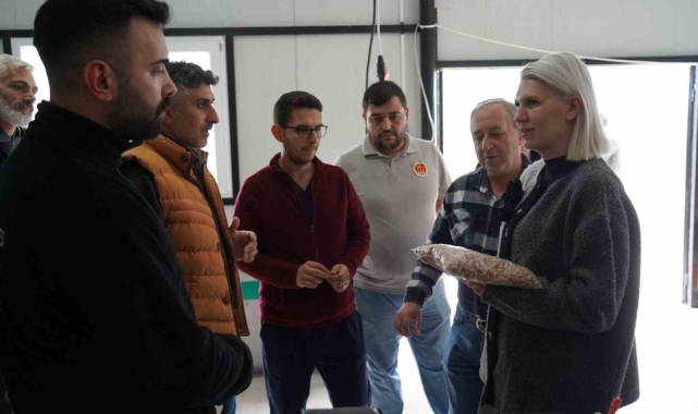 Bilecik'te sokak hayvanları için ücretsiz mama üretiliyor