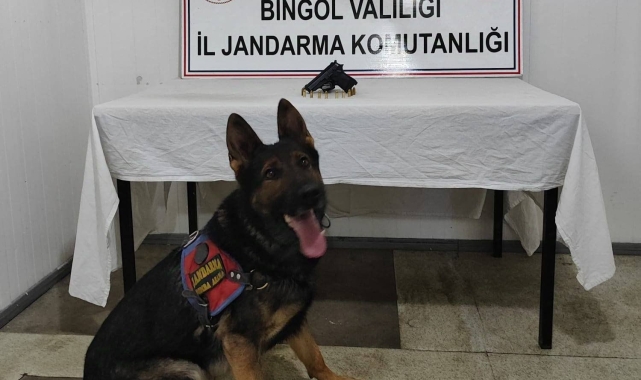 Bingöl'de araması bulunan 3 kişi yakalandı