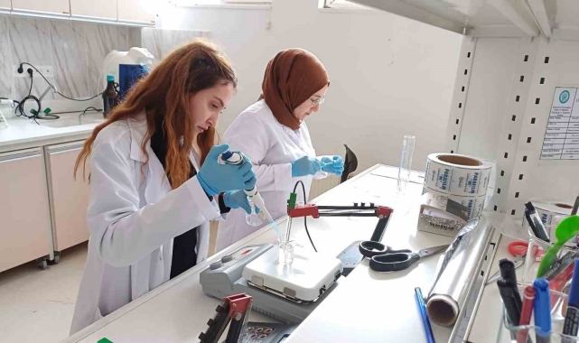 Bitlis Eren Üniversitesi'nden bal analizi alanında uluslararası başarı