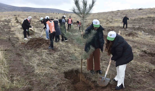 Bitlis'te bin adet fidan dikildi