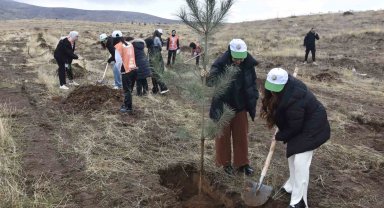 Bitlis'te bin adet fidan dikildi