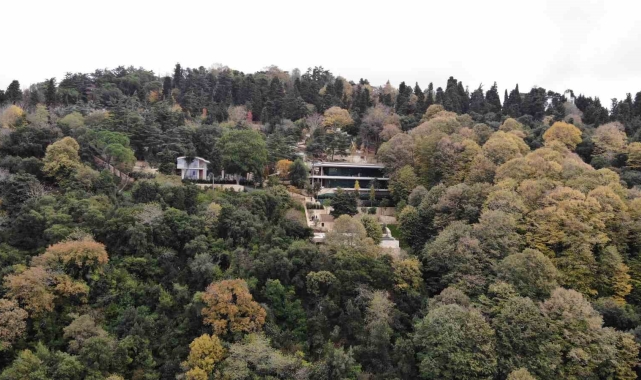 Boğaz'a nazır kaçak villanın son hali havadan görüntülendi