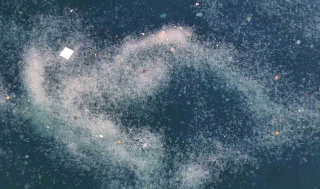 Boğaz'da milyon dolarlık yalıların önünde denizanası istilası