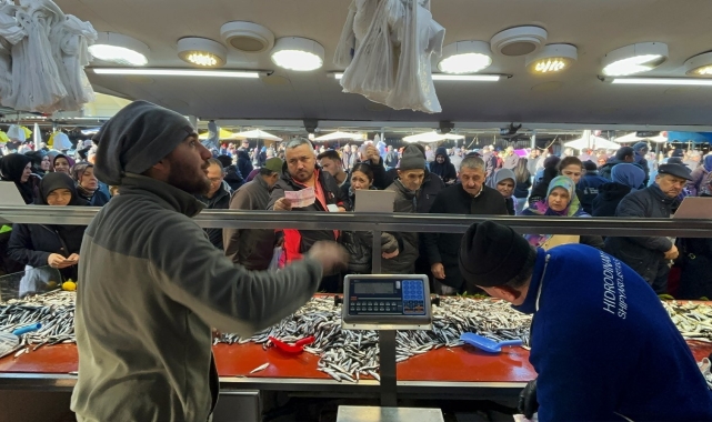 Bolu'da balık izdihamı
