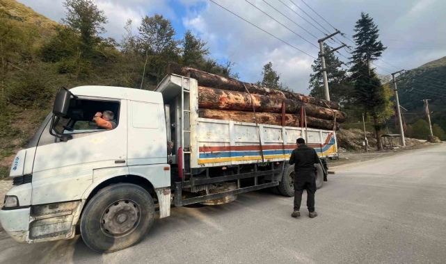 Bolu'da kaçak odun dolu kamyonlar yakalandı