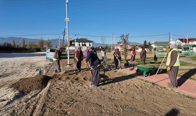 Bolu'da parklara kadın eli değdi