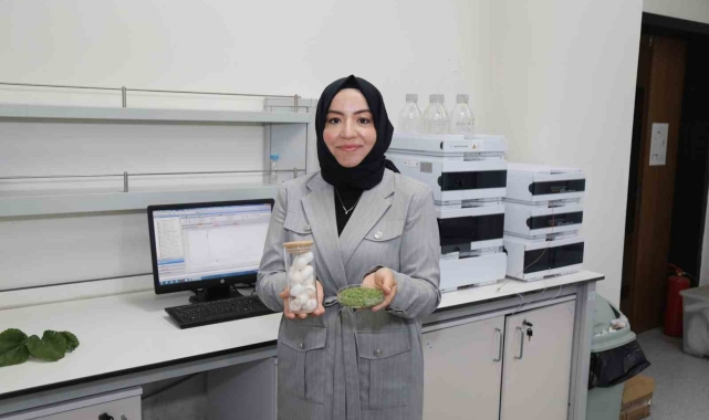 BTÜ'de diyabet hastalarına özel gıda kaplaması geliştirildi