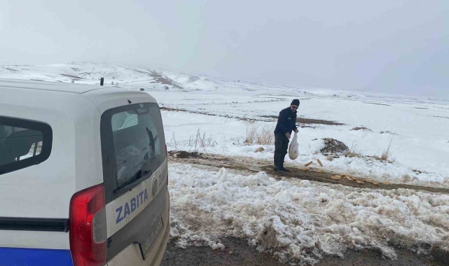 Bünyan Belediyesi'nden sokaktaki hayvanlarına yardım eli