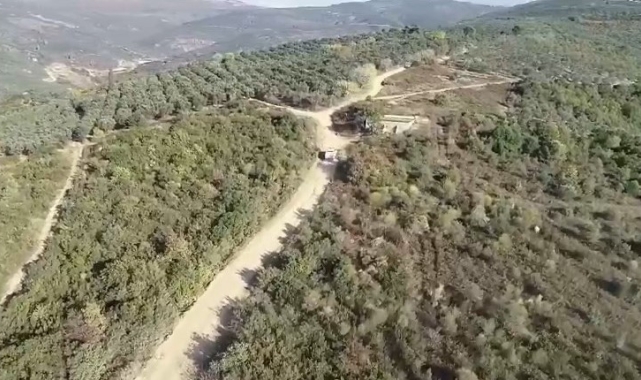 Bursa'da zeytin hırsızlarına dronlu denetim