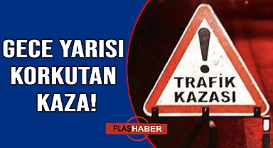 Yola çıkan çakal kazaya neden oldu