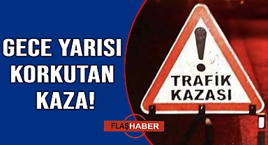 Yola çıkan çakal kazaya neden oldu