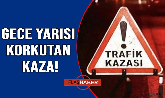 Yola çıkan çakal kazaya neden oldu