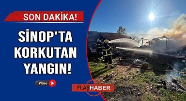 Çakmakla oynayan çocuklar yangın çıkardı