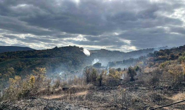 Çanakkale'deki yangında 2 hektarlık alan zarar gördü