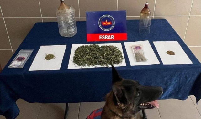 Çankırı'da aranan 114 şahıs yakalandı