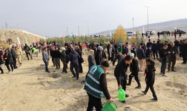 Çankırı'da fidanlar toprakla buluştu