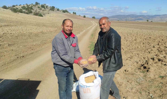 Çiftçi küresel ısınmanın etkileri yüzünden buğdayını geç ekiyor