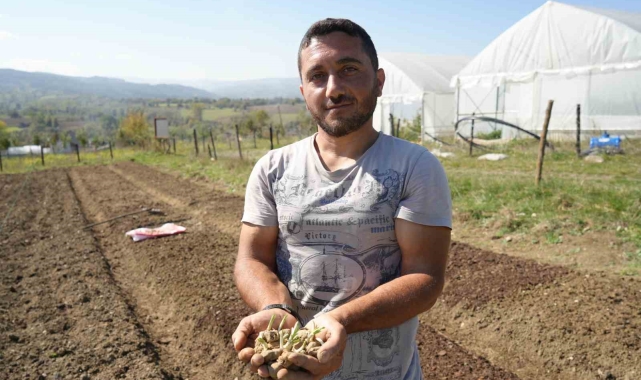 Çocukken annesiyle yaylalarda topluyordu, şimdi üreticisi oldu