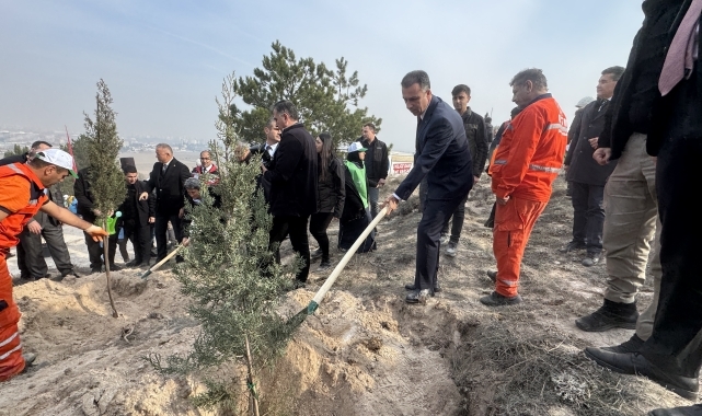 Çorum, Sinop ve Çankırı'da Milli Ağaçlandırma Günü'nde fidanlar toprakla buluşturuldu