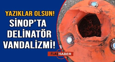 Delinatör vandalizmi vatandaşı isyan ettirdi