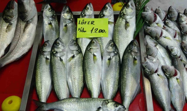 Denizlerin prensi 'lüfer' 1200 liradan tezgahta