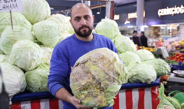 Dev lahanalara nazar değil, büyümeyen lahanalar tarlada kaldı