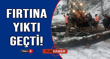 Devrilen ağaç yolu kapattı