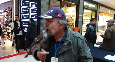 Dişi atmacalar AVM'de kendileri için düzenlenen güzellik yarışmasında boy gösterdi