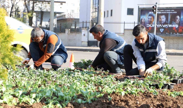Diyarbakır 1 milyon çiçekle renkleniyor