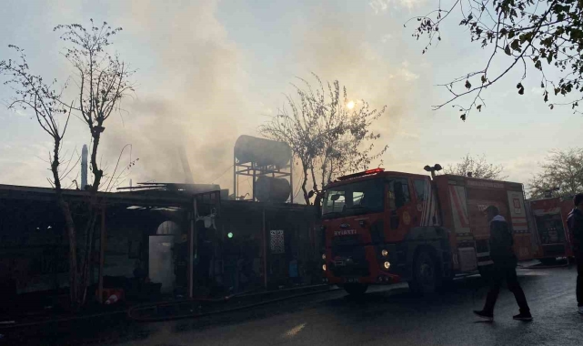 Diyarbakır'da bir kafe alevlere böyle teslim oldu