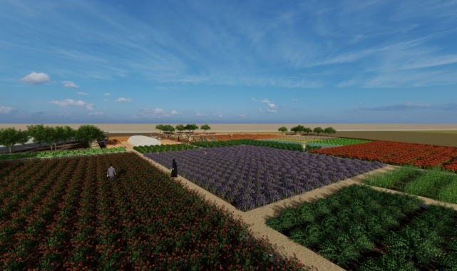 Diyarbakır'da tıbbi ve aromatik bitki bahçesi oluşturuluyor