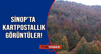 Doğanın renk cümbüşü mest etti