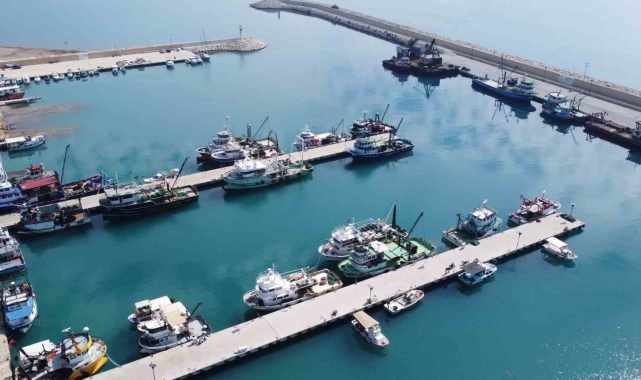 Doğu Akdeniz'de balık popülasyonu azalıyor