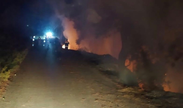 Dörtol'da orman yangını