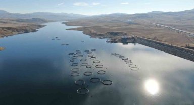 Dünyaya pazarlanan somonlar, denize kıyısı olmayan Sivas'ta olgunlaşıyor