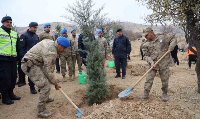 Elazığ'da 2 bin 300 fidan toprakla buluştu