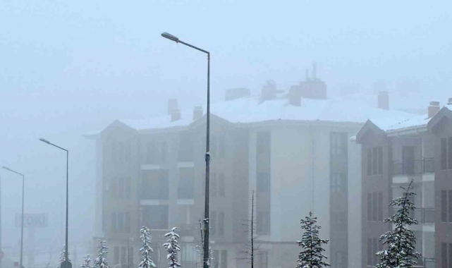 Elazığ'da kar yağışı sonrası sis etkili oldu