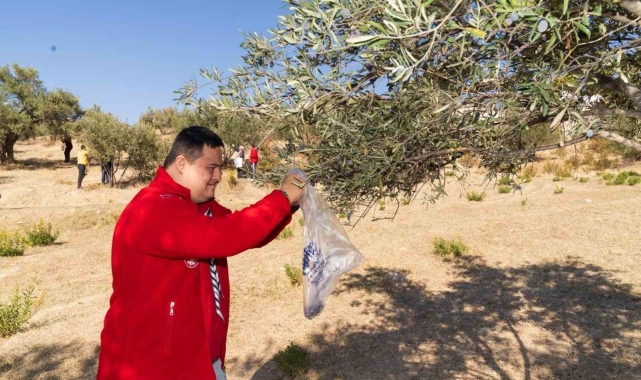 Engelli bireyler zeytin hasadı sayesinde sosyalleşti