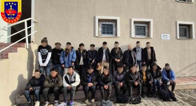 Erciş'te 20 düzensiz göçmen yakalandı