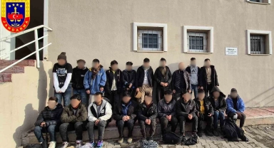 Erciş'te 20 düzensiz göçmen yakalandı