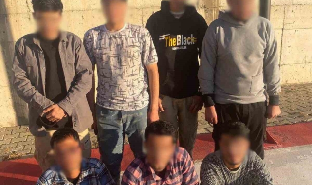 Erciş'te 7 düzensiz göçmen yakalandı